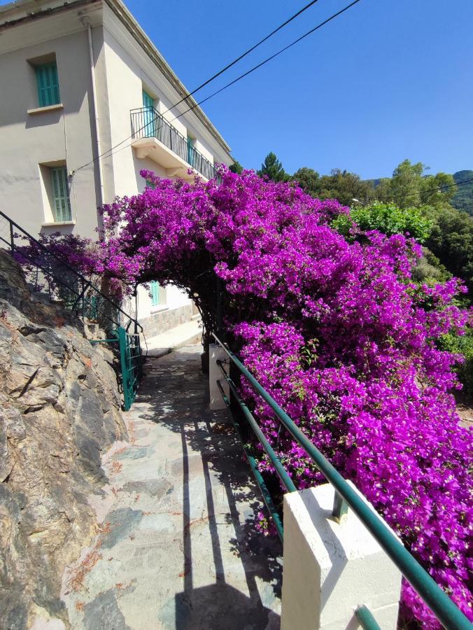 La Vallicella Farinole Extérieur photo