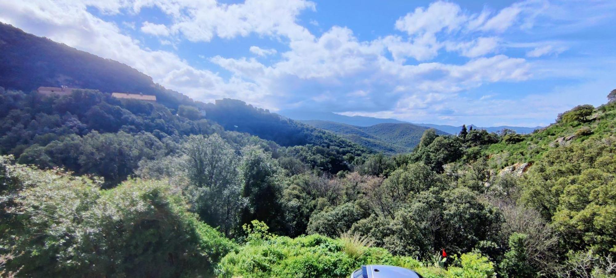La Vallicella Farinole Chambre photo